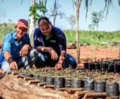 Restauración Sostenible: Recupera tu Jardín de Manera Eco-Amigable