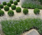 Rescatando la Elegancia: Restauración de Elementos Clásicos en el Jardín